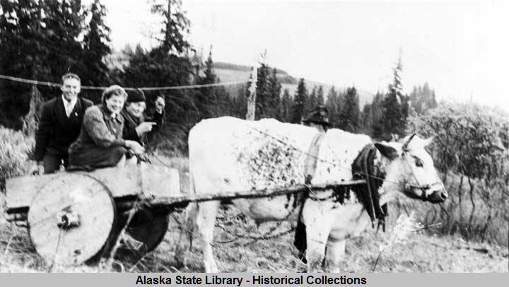 Homer_Alaska_1943__Two_Seldovia_school_teachers_and_a_man_in_a_cart_being_pulled_by_a_cow